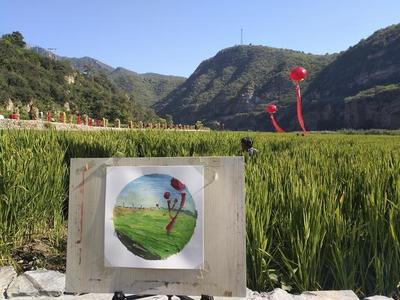 你可見過稻田里的藝術節,就去紅旗渠敲鑼打鼓收稻子