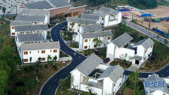 秦嶺深處的音樂小鎮 彩色花海中的景觀藝術交融